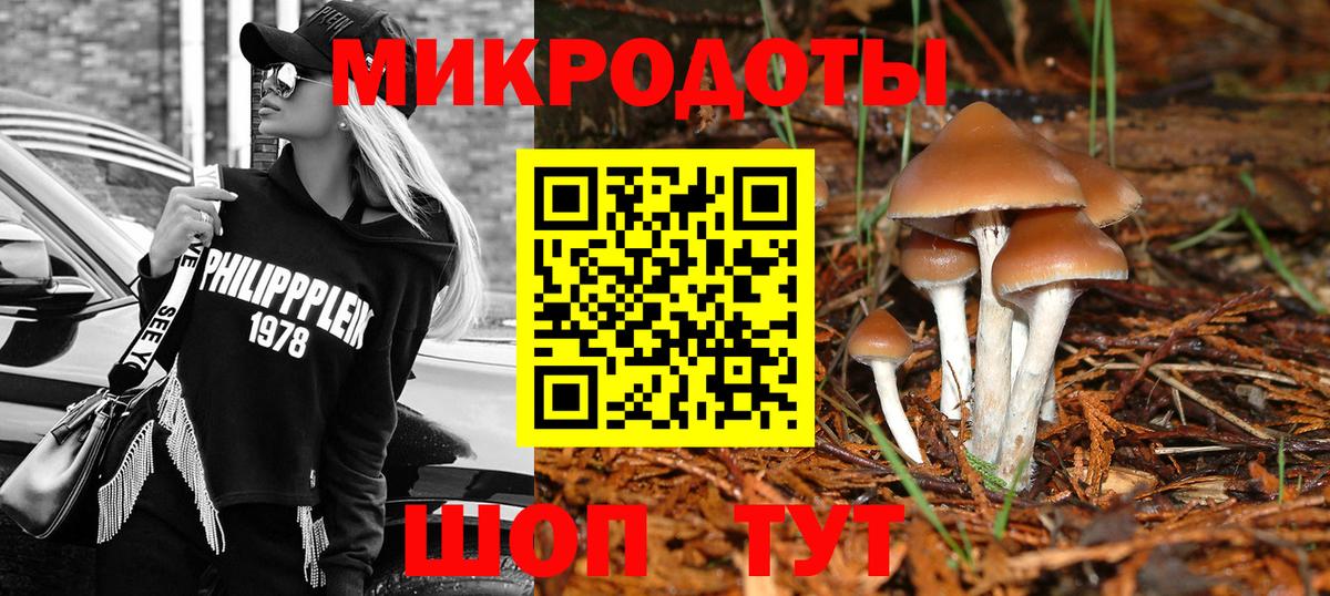 Псилоцибиновые грибы Psilocybe  Псилоцибиновые грибы GOLDEN TEACHER  закладка  Вольск  Вход с VPN 