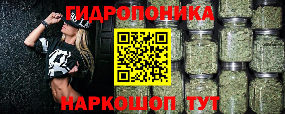 Конопля семена Вольск